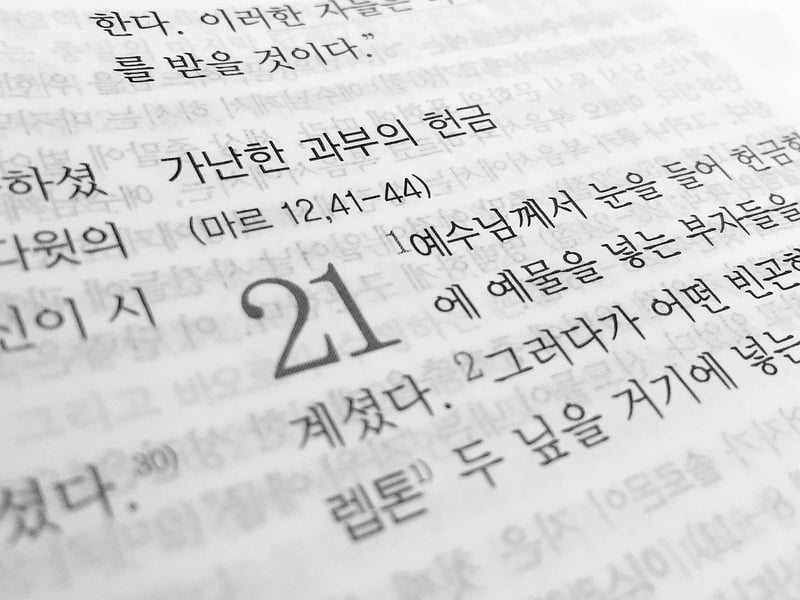 Language Translation Devices